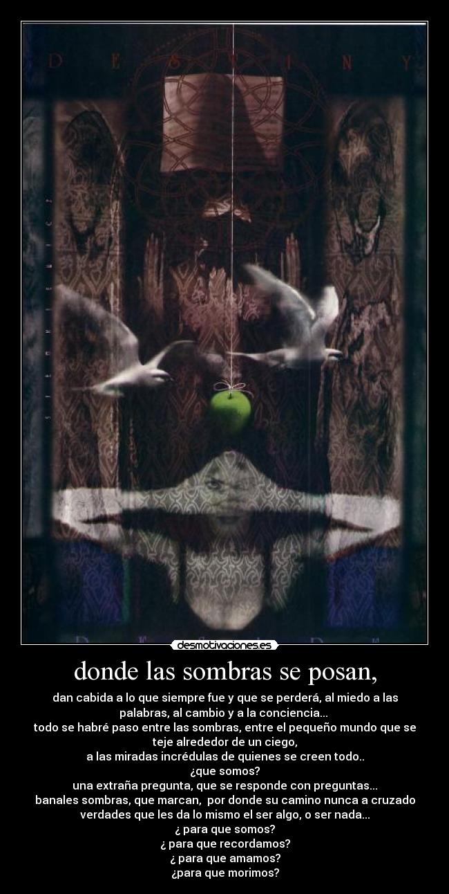 donde las sombras se posan, -