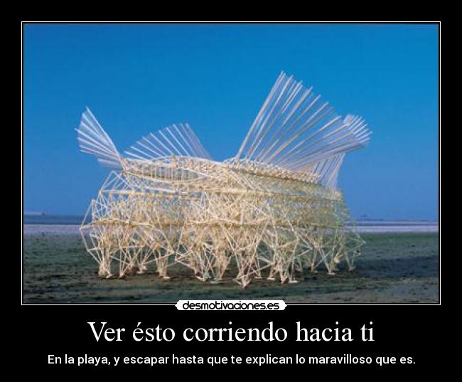 Ver ésto corriendo hacia ti - En la playa, y escapar hasta que te explican lo maravilloso que es.