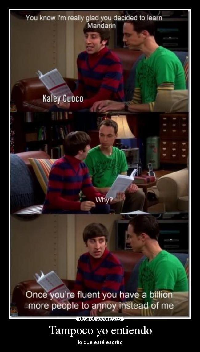 carteles clantheblackcat noalrasismodelosgatosnegros primer clan seeee jajeaeffff desmotivaciones