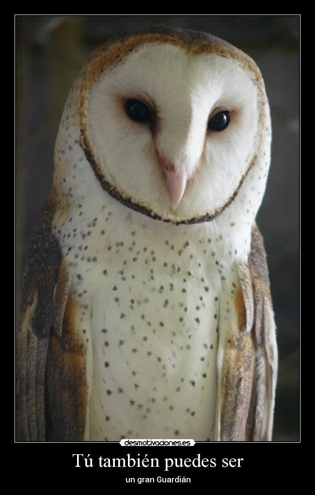 Tú también puedes ser -