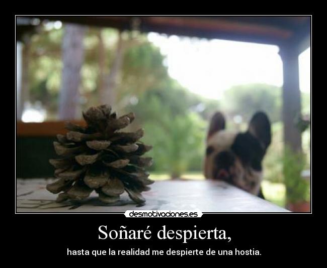 Soñaré despierta, - hasta que la realidad me despierte de una hostia.
