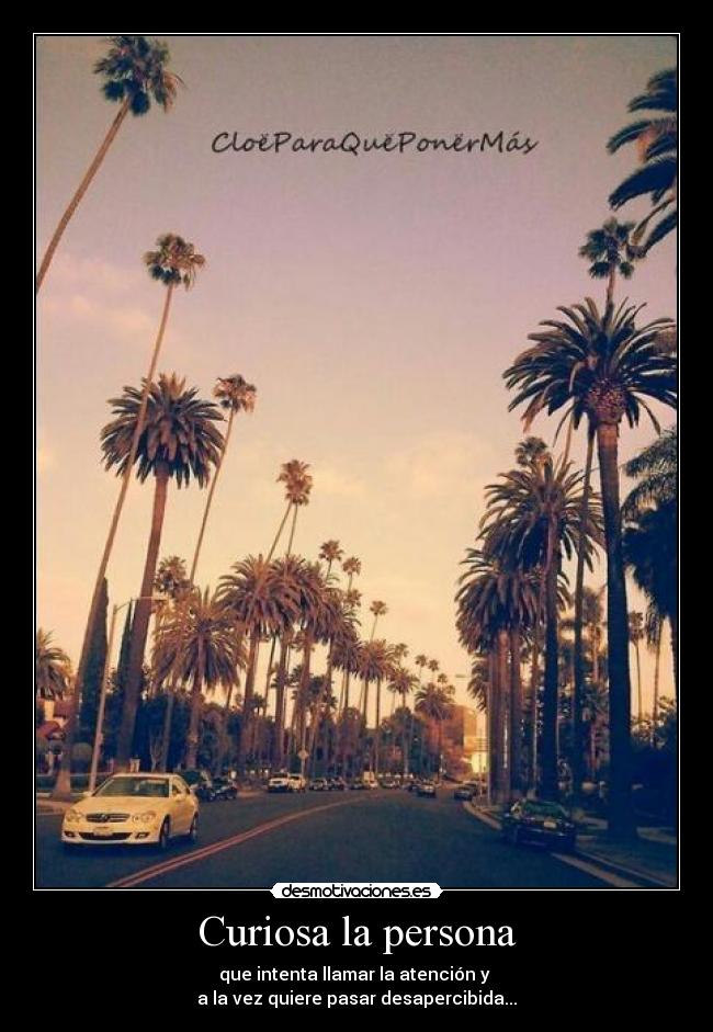 Curiosa la persona - que intenta llamar la atención y 
a la vez quiere pasar desapercibida...
