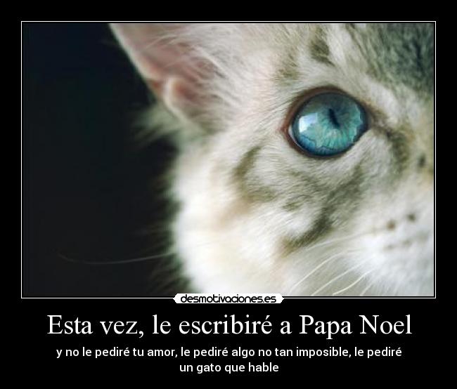 Esta vez, le escribiré a Papa Noel - y no le pediré tu amor, le pediré algo no tan imposible, le pediré un gato que hable