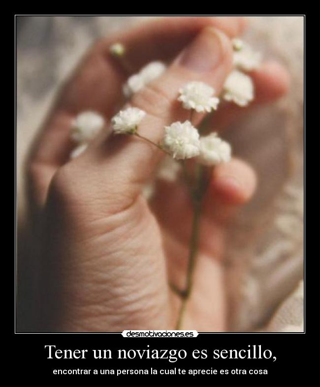 Tener un noviazgo es sencillo, - encontrar a una persona la cual te aprecie es otra cosa