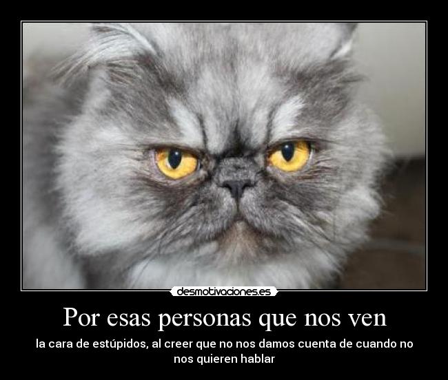 Por esas personas que nos ven - la cara de estúpidos, al creer que no nos damos cuenta de cuando no
nos quieren hablar