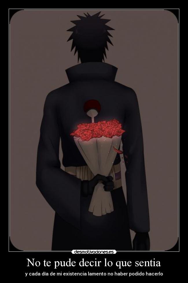 No te pude decir lo que sentia - 