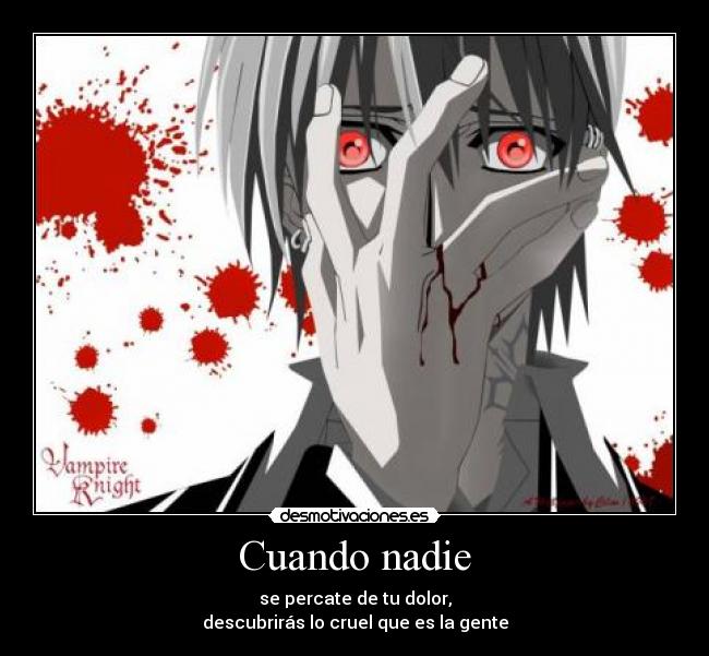 carteles zero anime vampire knight desmotivaciones