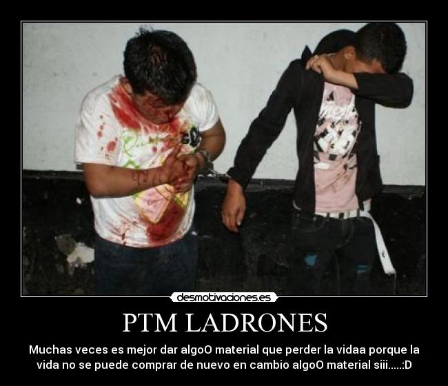 carteles ladroness desmotivaciones