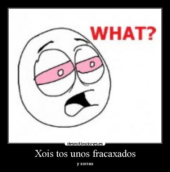 Xois tos unos fracaxados -