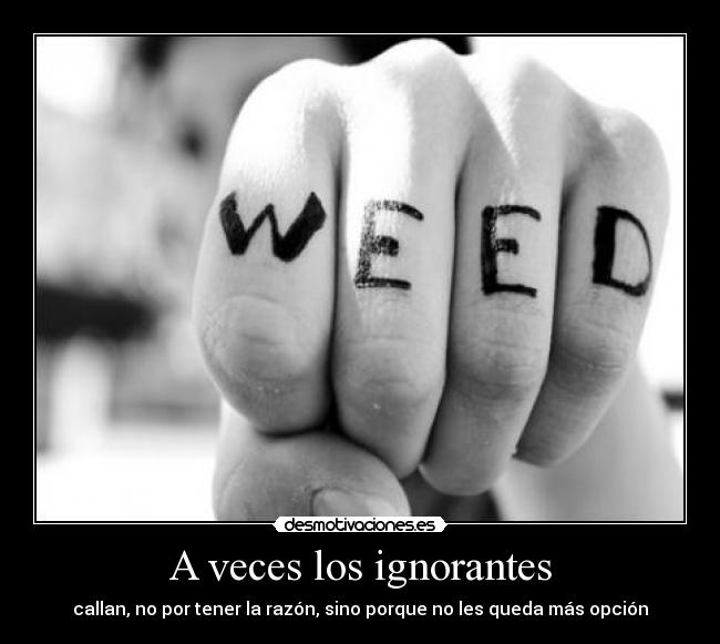 A veces los ignorantes - 