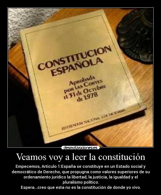Veamos voy a leer la constitución -