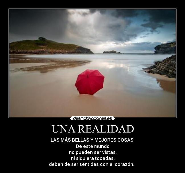 UNA REALIDAD - 