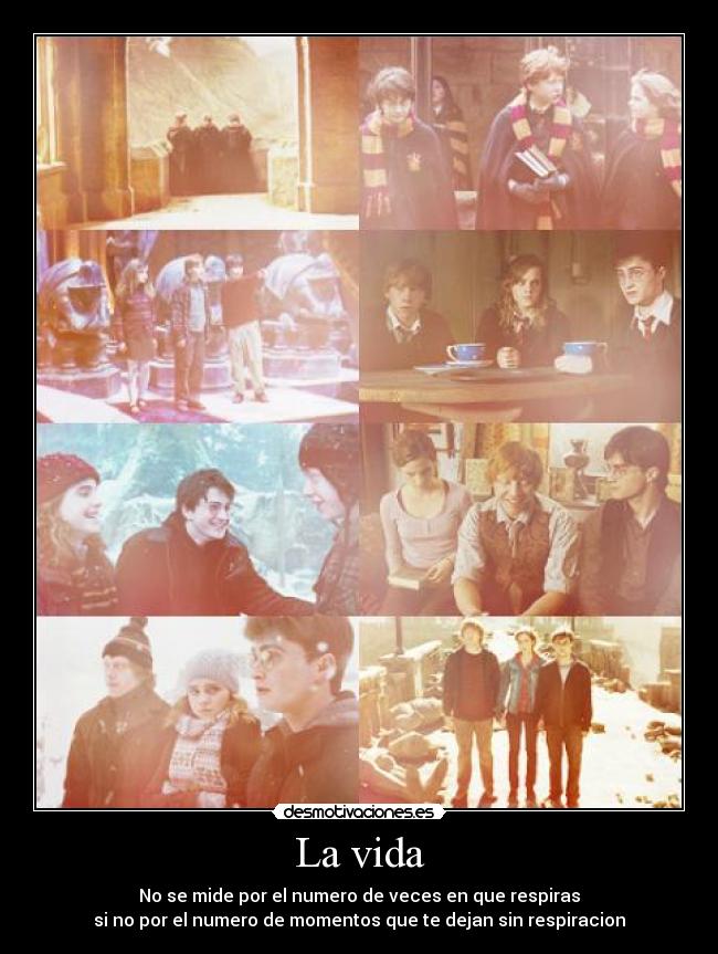 La vida - No se mide por el numero de veces en que respiras
si no por el numero de momentos que te dejan sin respiracion