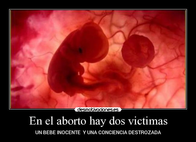 carteles aborto conciencia victima inocente destrozado desmotivaciones