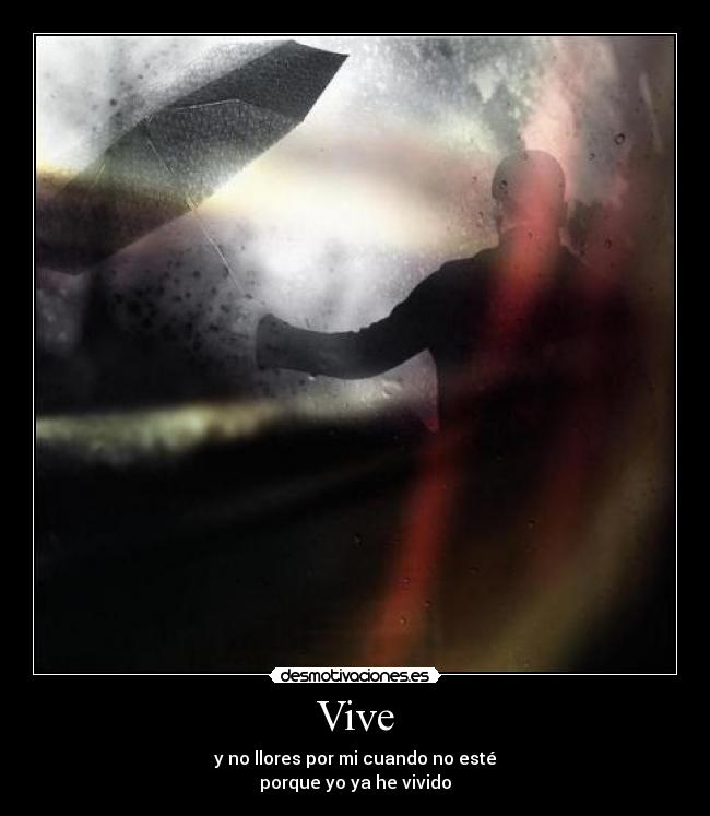 Vive -