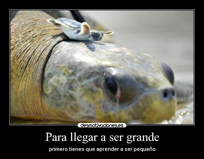 Para llegar a ser grande - 