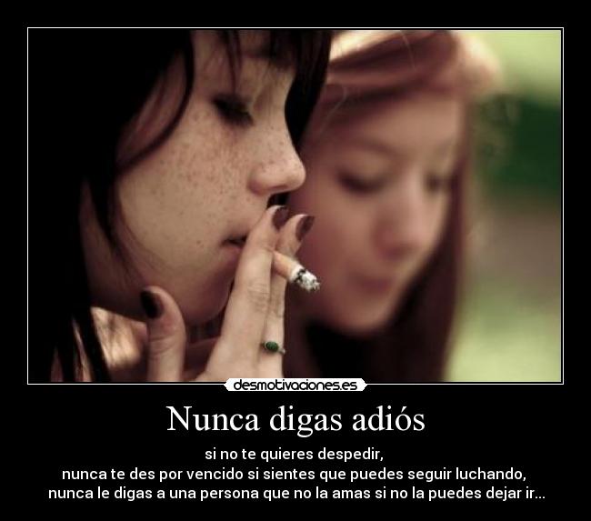 Nunca digas adiós - si no te quieres despedir, 
nunca te des por vencido si sientes que puedes seguir luchando, 
nunca le digas a una persona que no la amas si no la puedes dejar ir...