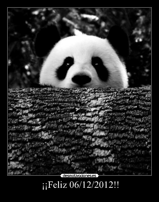 ¡¡Feliz 06/12/2012!! -