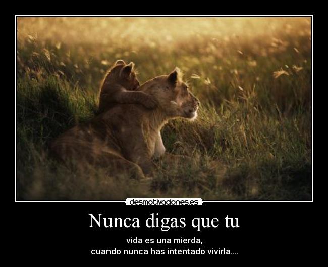 Nunca digas que tu - vida es una mierda,
cuando nunca has intentado vivirla....