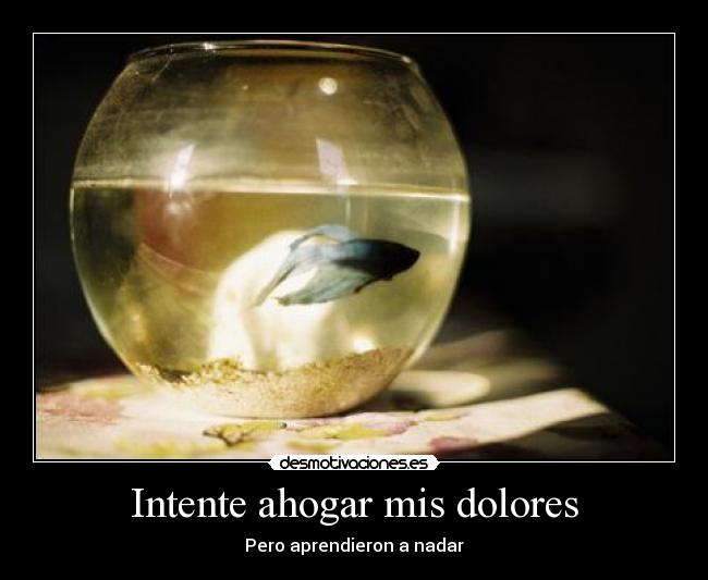 Intente ahogar mis dolores - Pero aprendieron a nadar