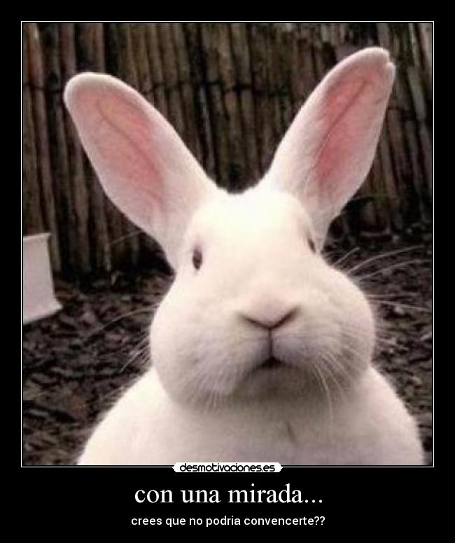 con una mirada... - crees que no podria convencerte??