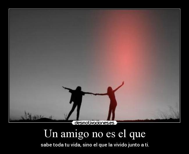 Un amigo no es el que - sabe toda tu vida, sino el que la vivido junto a ti.