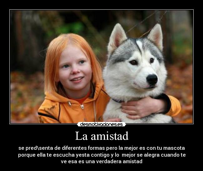 La amistad -