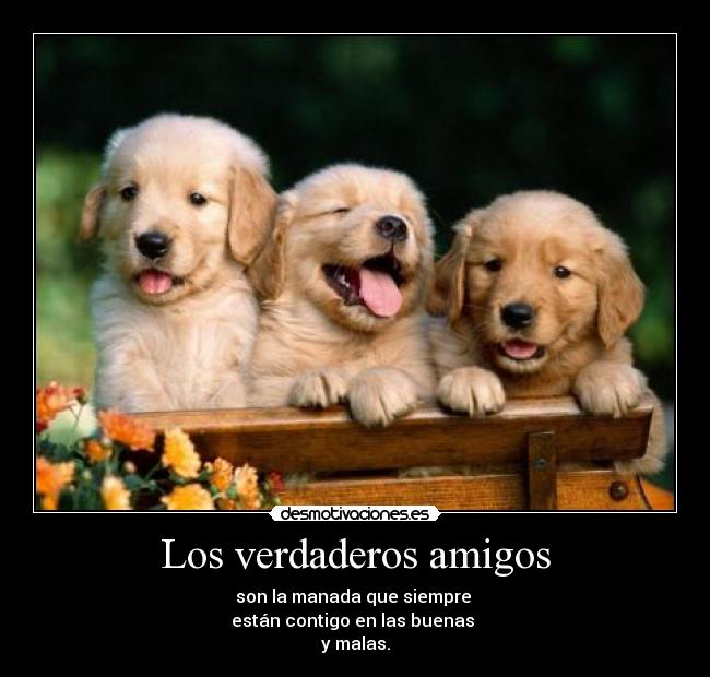 Los verdaderos amigos -