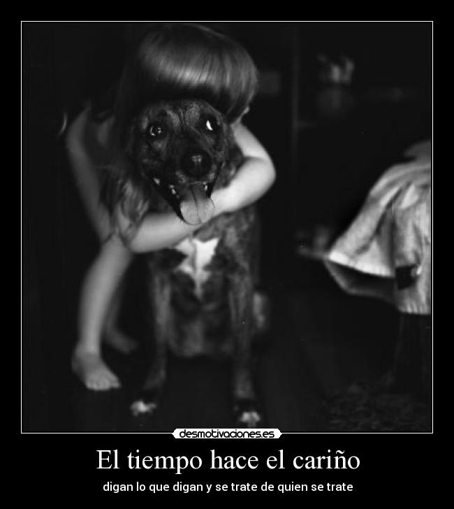 carteles tiempo hacer carino decir quien tratar ely desmotivaciones