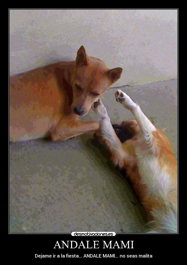ANDALE MAMI -
