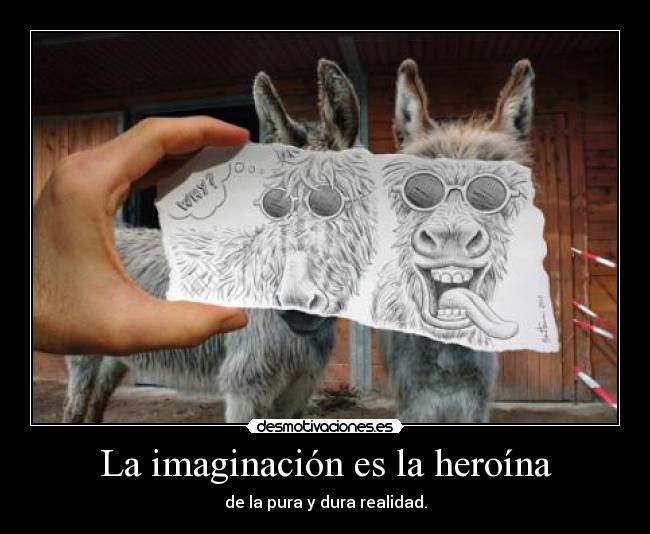 La imaginación es la heroína -