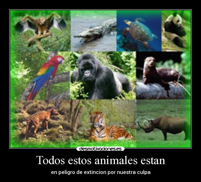 carteles animales miedo desmotivaciones