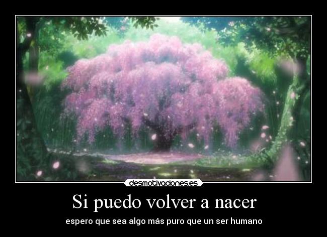 carteles anime blue literature aoi bungaku puedo volver nacer espero ser algo mas puro que ser human desmotivaciones