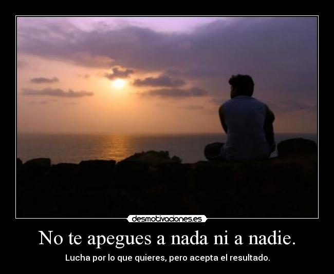 carteles apegues nada desmotivaciones