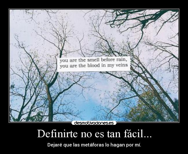 Definirte no es tan fácil... - Dejaré que las metáforas lo hagan por mí.