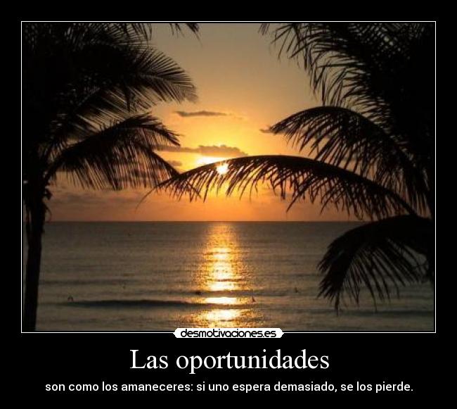 Las oportunidades - son como los amaneceres: si uno espera demasiado, se los pierde.