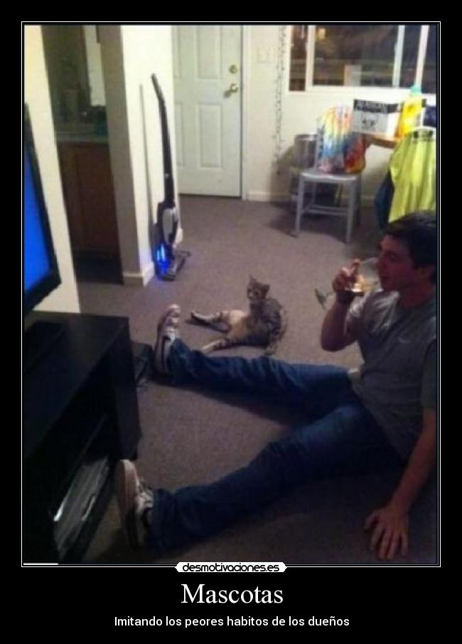 Mascotas - Imitando los peores habitos de los dueños