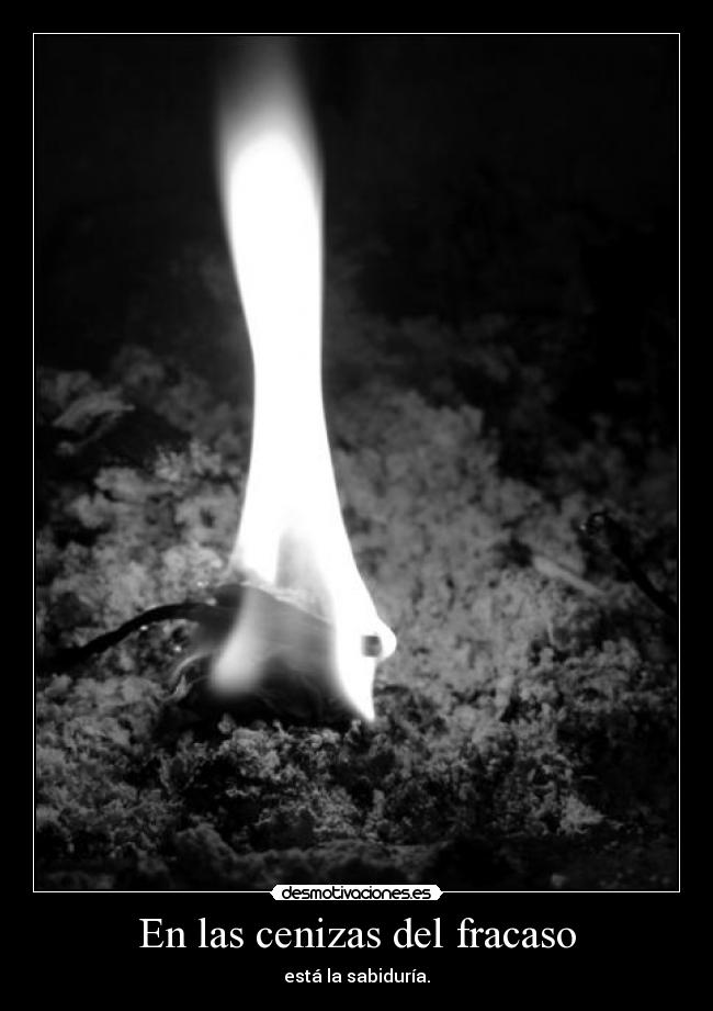 En las cenizas del fracaso -