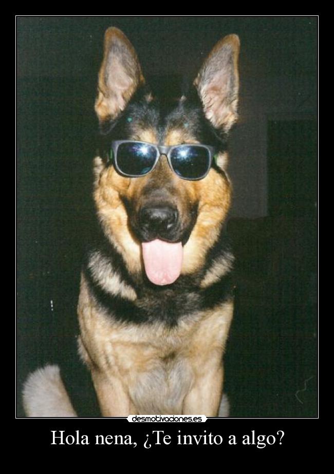 Hola nena, ¿Te invito a algo? -