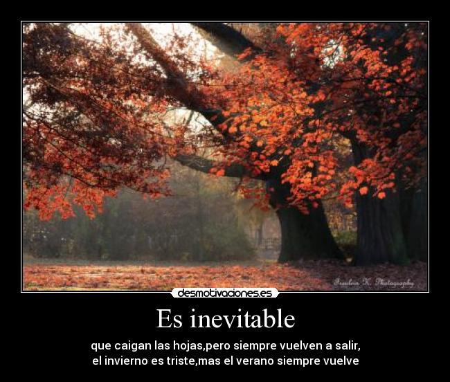 Es inevitable -