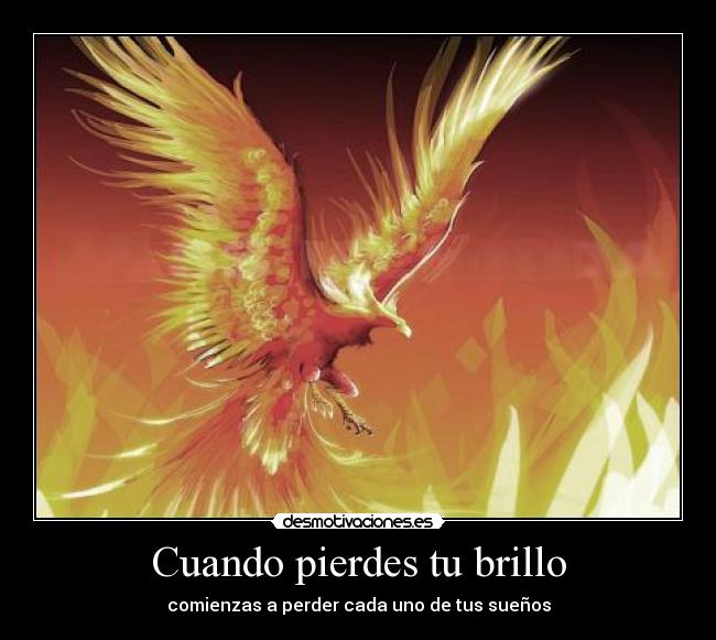 carteles cuando pierdes brillo comienzas perder cada uno tus suenos desmotivaciones