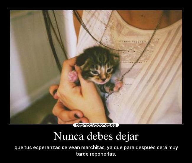 Nunca debes dejar - que tus esperanzas se vean marchitas, ya que para después será muy
tarde reponerlas.