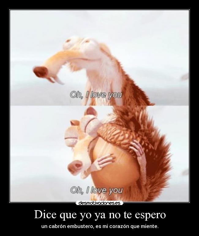 carteles amo esa ardilla desmotivaciones