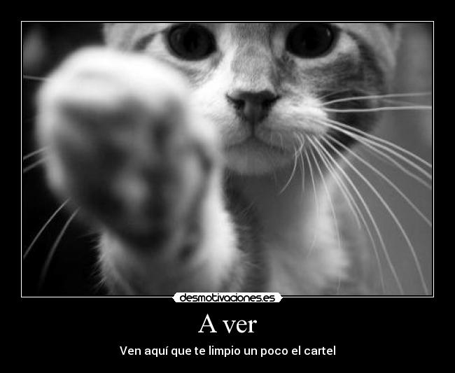 A ver - Ven aquí que te limpio un poco el cartel