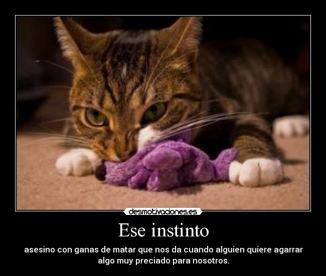 Ese instinto -
