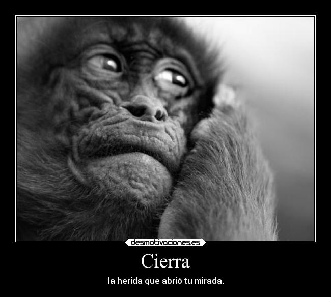Cierra - 