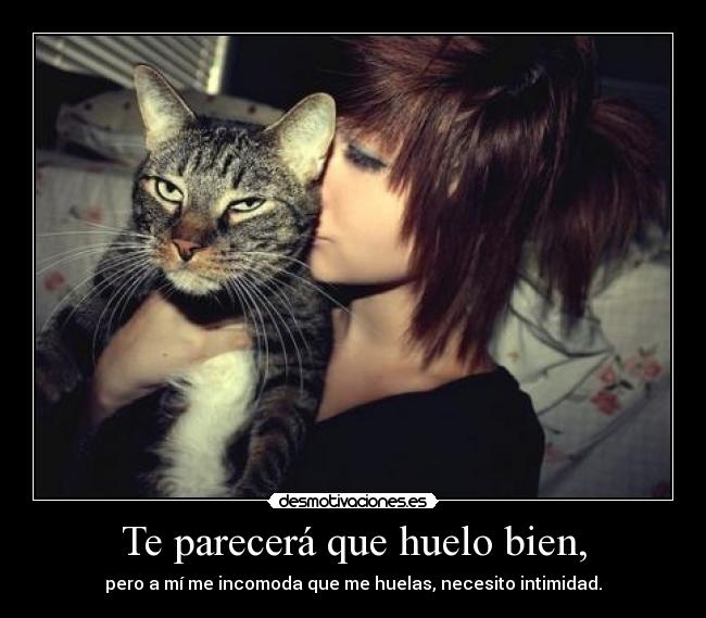 Te parecerá que huelo bien, - 