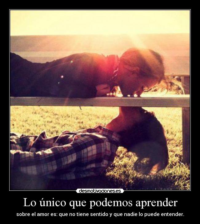 Lo único que podemos aprender - sobre el amor es: que no tiene sentido y que nadie lo puede entender.