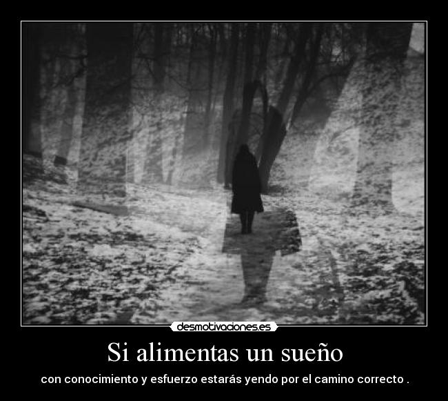 Si alimentas un sueño -