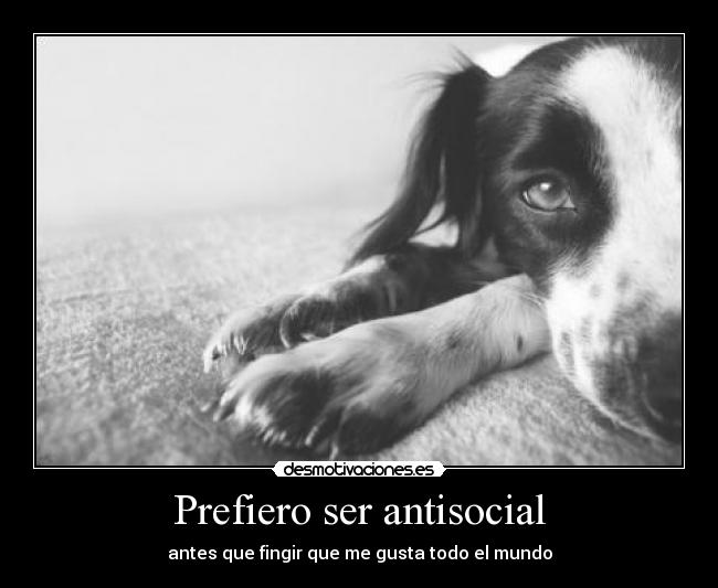 carteles dean winchester perro prefiero ser antisocial antes que fingir que gusta todo mundo desmotivaciones